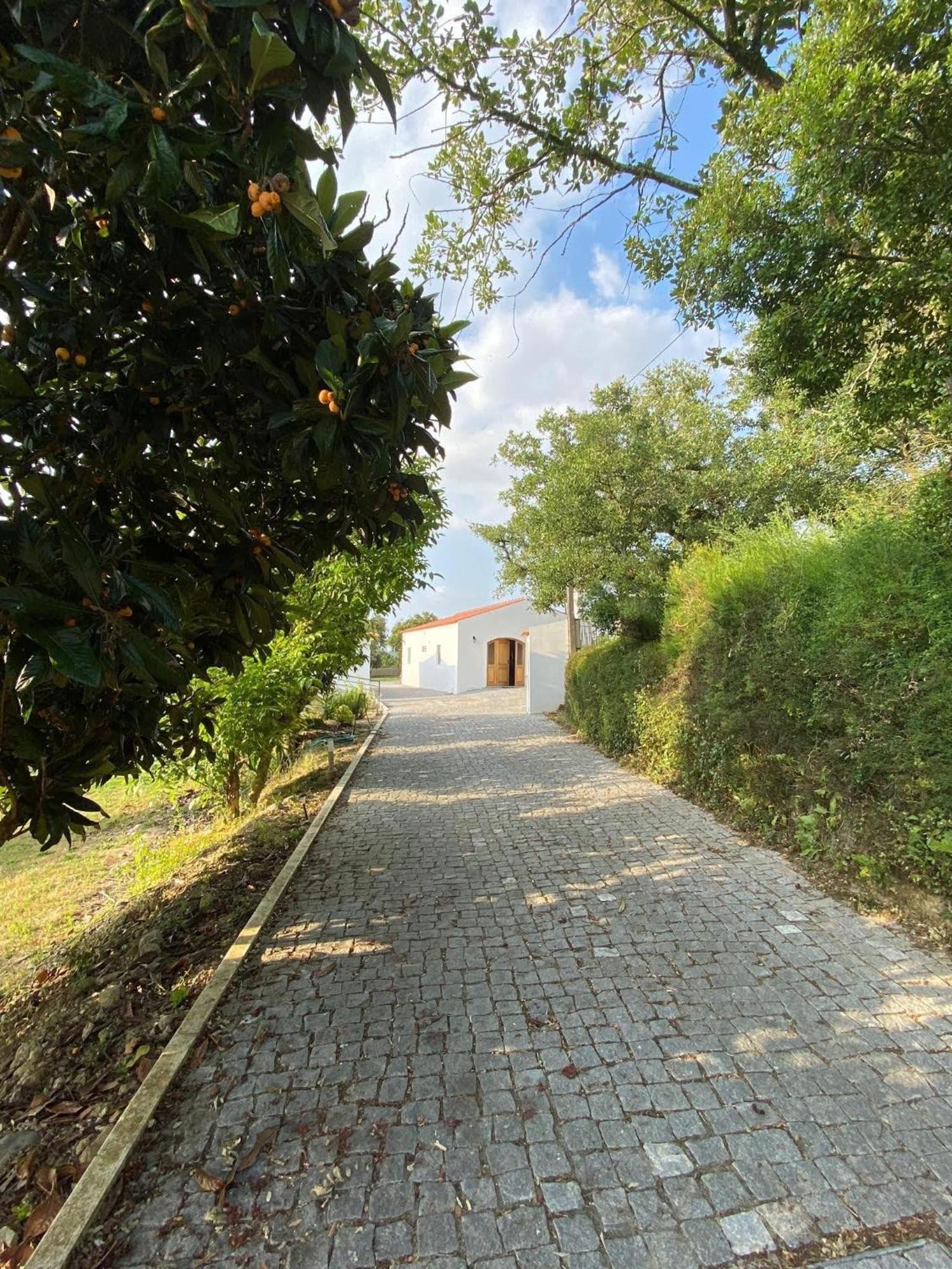Villa Quinta Boa Vida Alcobaça Esterno foto