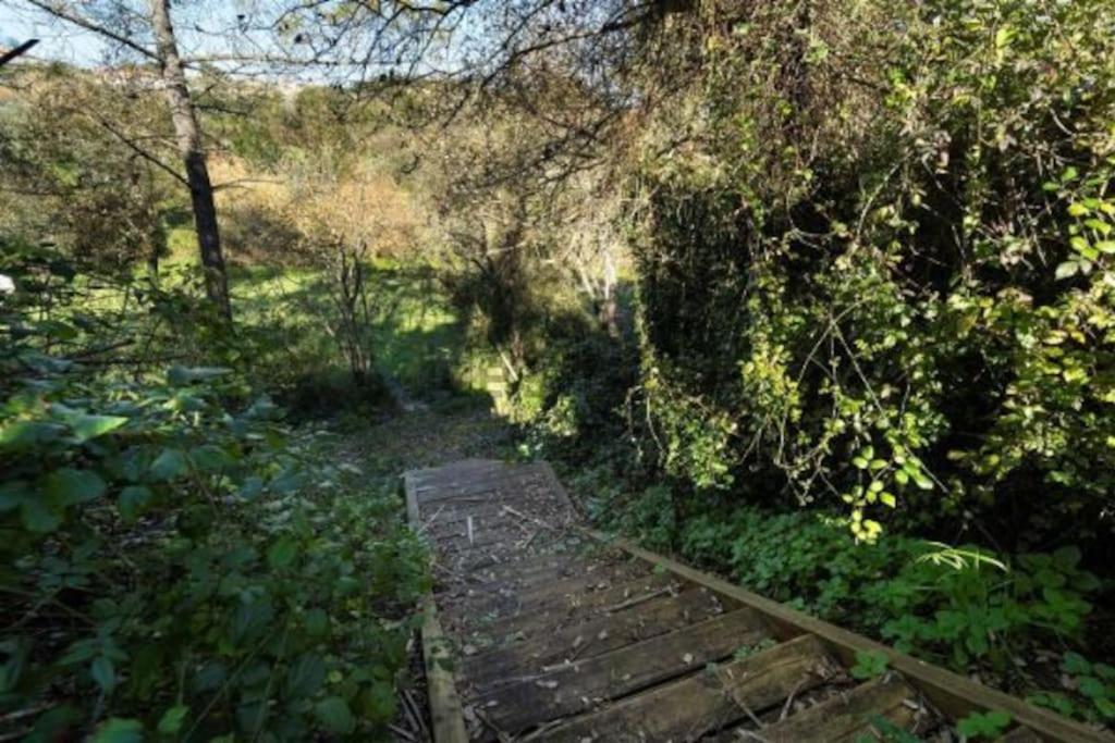 Villa Quinta Boa Vida Alcobaça Esterno foto